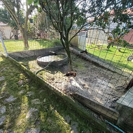 Casa De Santa Luzia
