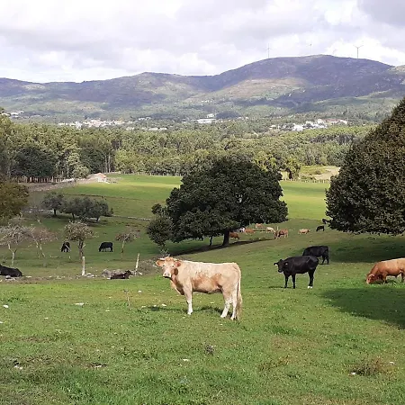 Casa de Férias Casa De Santa Luzia