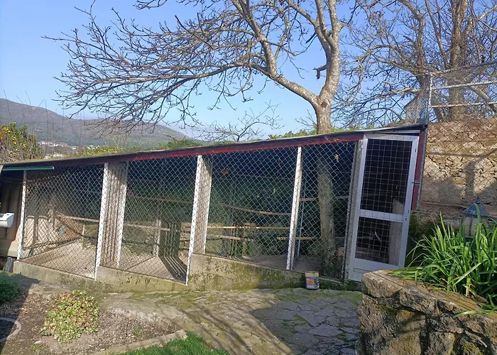 Casa De Santa Luzia Ferienhaus Vila Praia de Âncora
