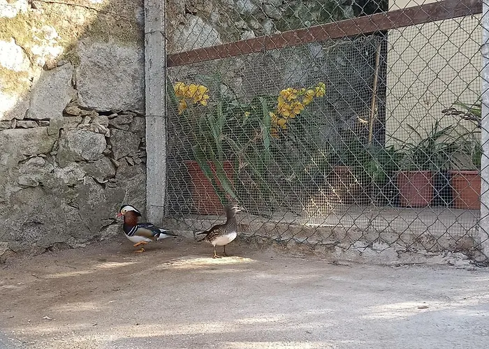 Casa De Santa Luzia Hébergement de vacances Vila Praia de Âncora